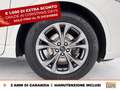 Ford Kuga 1.5 ecoblue st-line x 2wd 120cv auto Alb - thumbnail 15