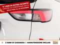 Ford Kuga 1.5 ecoblue st-line x 2wd 120cv auto Alb - thumbnail 17