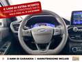 Ford Kuga 1.5 ecoblue st-line x 2wd 120cv auto Alb - thumbnail 19