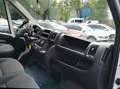 Opel Movano L3H2 3,5t Edition 2.2 CDTI Blanco - thumbnail 6