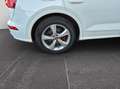 Audi SQ5 3.0 TDI quattro/Leder/ACC/Kamera/Virtual/20" Wit - thumbnail 14