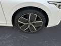 Volkswagen Golf 1.5 eHybrid DSG Style Weiß - thumbnail 7