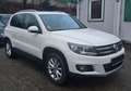 Volkswagen Tiguan Sport,Euro 5,P-Dach, Top Zustand. Weiß - thumbnail 19