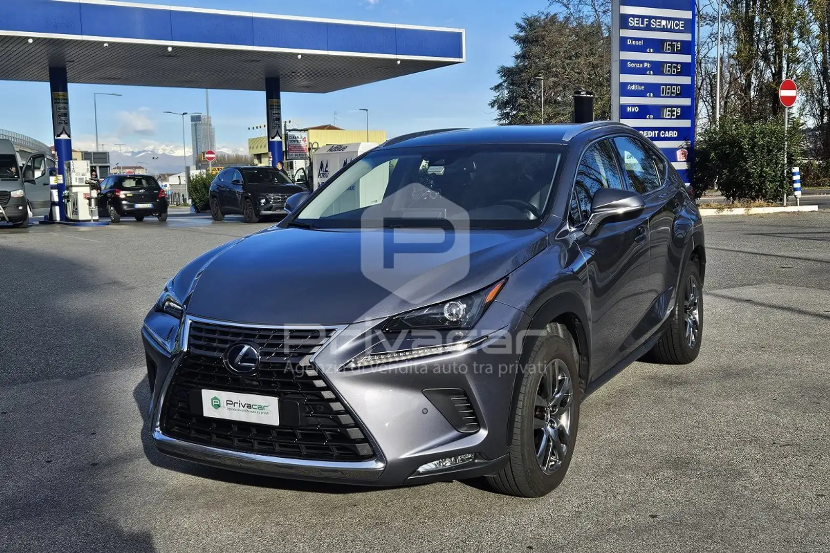 Lexus NX 300h NX Hybrid 4WD Business Zilver - 1