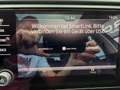 Skoda Octavia Combi 1,0 TSI Ambition DSG Gris - thumbnail 18