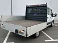 Ford Transit Pritsche 350 L2 Doppelkabine Trend *4x4* Weiß - thumbnail 11