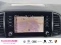 Skoda Karoq Style 2,0 TDI Navi+LED+PDC Plus+RK+DAB Bleu - thumbnail 13
