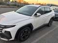 Hyundai TUCSON 2.0 crdi 48V Exellence 4wd 185cv auto my20 - thumbnail 2