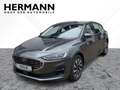 Ford Focus 1.0 EcoBoost Mild-Hybrid S/S Titanium *LED Grau - thumbnail 1