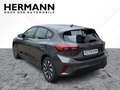 Ford Focus 1.0 EcoBoost Mild-Hybrid S/S Titanium *LED Grau - thumbnail 3