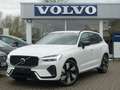 Volvo XC60 Plus Dark T8 AWD Plug-in/Four-C/360°Cam/AHK Weiß - thumbnail 1