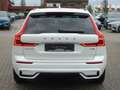 Volvo XC60 Plus Dark T8 AWD Plug-in/Four-C/360°Cam/AHK Weiß - thumbnail 5