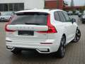 Volvo XC60 Plus Dark T8 AWD Plug-in/Four-C/360°Cam/AHK Weiß - thumbnail 4