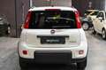 Fiat Panda 1.0 FireFly S&S Hybrid Alb - thumbnail 6