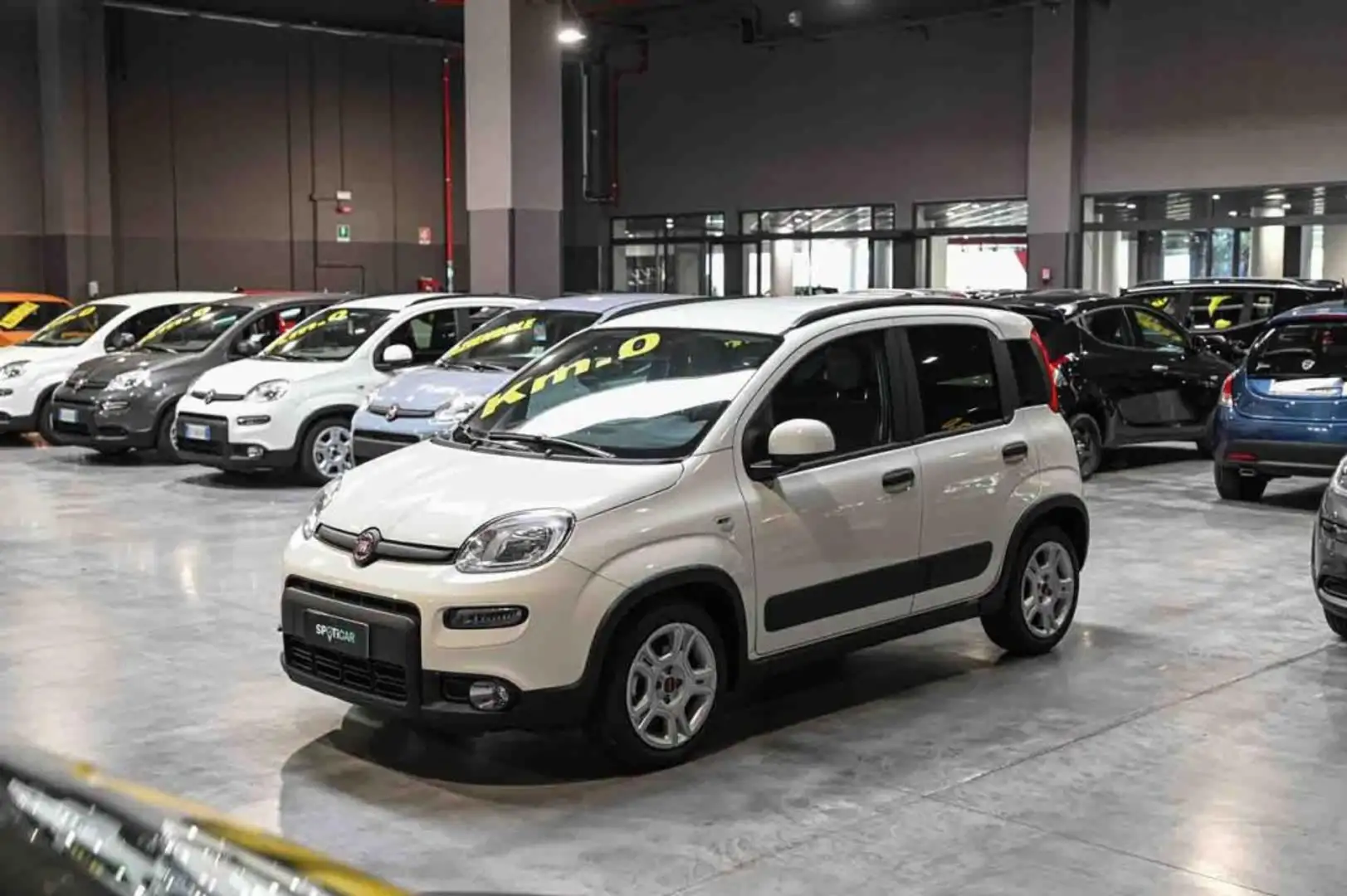 Fiat Panda 1.0 FireFly S&S Hybrid Alb - 1