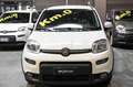 Fiat Panda 1.0 FireFly S&S Hybrid Alb - thumbnail 2
