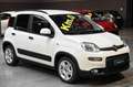 Fiat Panda 1.0 FireFly S&S Hybrid Alb - thumbnail 3
