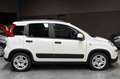 Fiat Panda 1.0 FireFly S&S Hybrid Alb - thumbnail 4