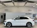 Audi Q8 50 MHEV TDI quattro S-Line Tiptronic*Matrix-LED Weiß - thumbnail 7