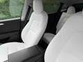 Tesla Model Y Dual Motor awd Bianco - thumbnail 12