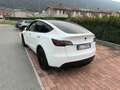 Tesla Model Y Dual Motor awd Bianco - thumbnail 6