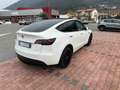 Tesla Model Y Dual Motor awd Bianco - thumbnail 5
