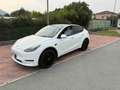 Tesla Model Y Dual Motor awd Bianco - thumbnail 3