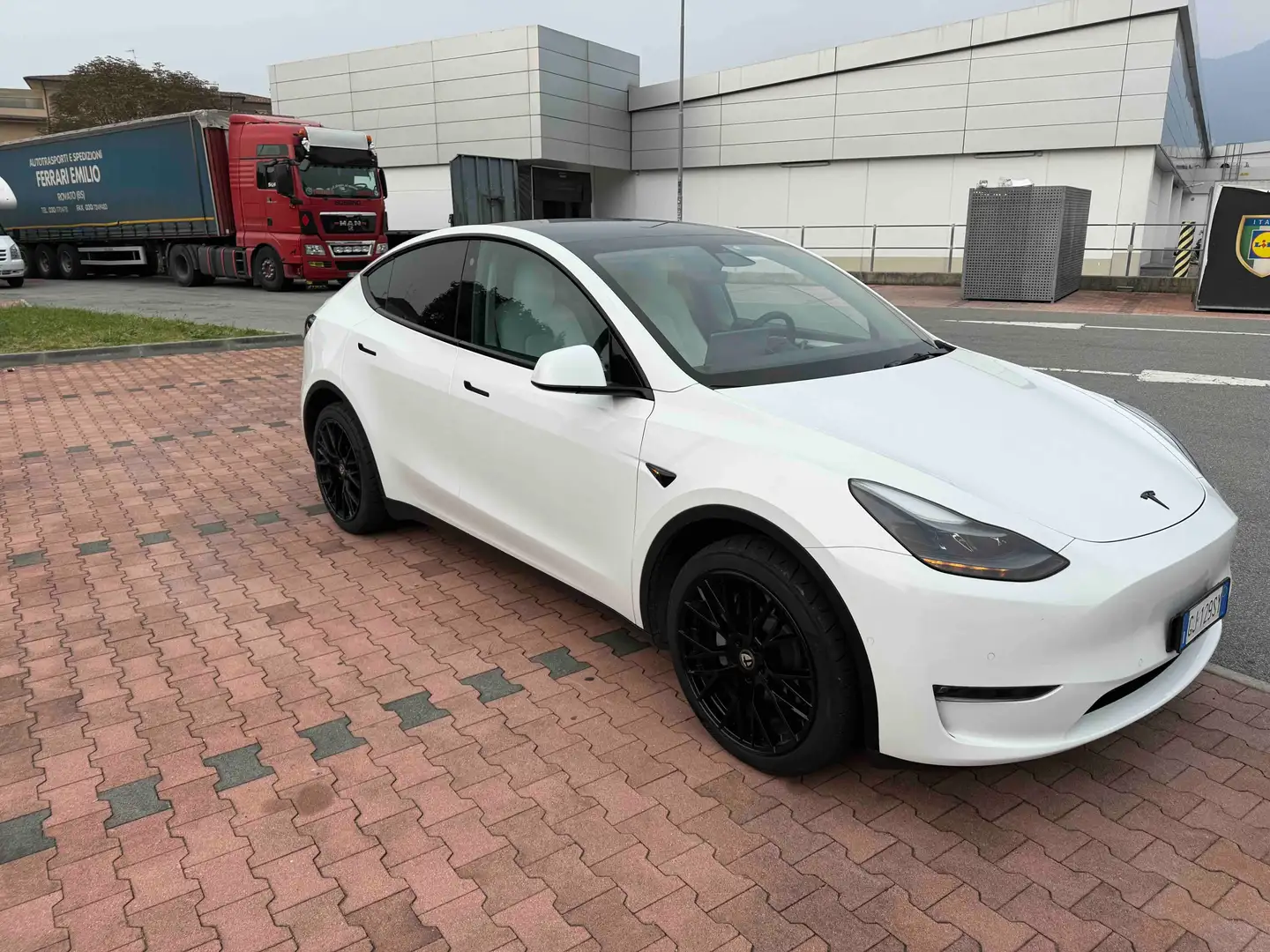 Tesla Model Y Dual Motor awd Bianco - 2