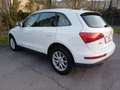 Audi Q5 2.0 tdi Advanced quattro 170cv s-tronic - thumbnail 4