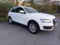 Audi Q5 2.0 tdi Advanced quattro 170cv s-tronic - thumbnail 3