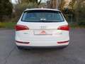 Audi Q5 2.0 tdi Advanced quattro 170cv s-tronic - thumbnail 5