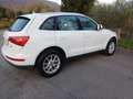 Audi Q5 2.0 tdi Advanced quattro 170cv s-tronic - thumbnail 6