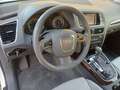 Audi Q5 2.0 tdi Advanced quattro 170cv s-tronic - thumbnail 8
