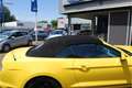 Ford Mustang Convertible 5.0 GT NAVI | XENON | YELLOW | V8 | SY Jaune - thumbnail 6
