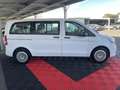 Mercedes-Benz Vito 114 CDI Long 9G-Tronic Base 9 places Weiß - thumbnail 4