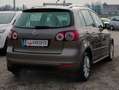 Volkswagen Golf Plus Highline 2,0 TDI DPF Braun - thumbnail 4