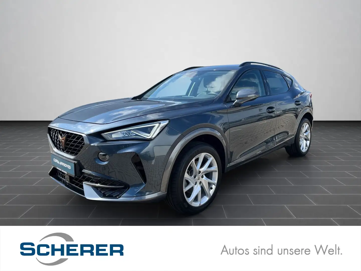 CUPRA Formentor 1,5 TSI NAVI/LED/Sitzheizung vo./u.v.m Grau - 1
