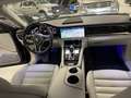 Porsche Panamera 4.0 Turbo V8 auto UnicoProprietario ServicePorsche Blau - thumbnail 7