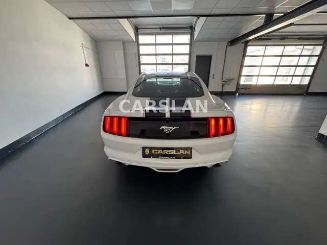 Ford Mustang view 14