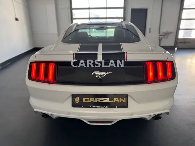 Ford Mustang view 11