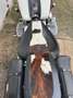Harley-Davidson Heritage Softail Heritage Softail Nostalgia FLSTN  (1992) Alb - thumbnail 3