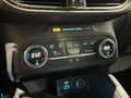 Ford Kuga 1.5 120CV 2WD ST-Line Bianco - thumbnail 15
