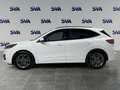Ford Kuga 1.5 120CV 2WD ST-Line Bianco - thumbnail 3