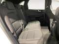 Ford Kuga 1.5 120CV 2WD ST-Line Bianco - thumbnail 10