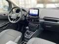 Ford EcoSport 1.0 EB Titanium 5J.*Gar.+Assist+Technik+Winterpak Silber - thumbnail 8