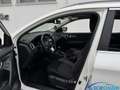 Nissan Qashqai Qashqai 1.5 dCi 115 CV N-Connecta - thumbnail 6