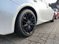 Lexus IS 300 Hybrid (mit Android Auto/Carplay) Sport Line Wit - thumbnail 17