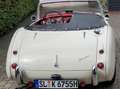 Austin-Healey 100 100/6 Weiß - thumbnail 2