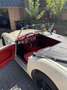 Austin-Healey 100 100/6 Weiß - thumbnail 6