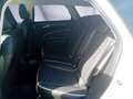 Ford Mondeo Turnier 2.0 Ti-VCT Hybrid VIGNALE  *ACC* Wit - thumbnail 9